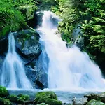 Forest Family Stay, Triberg Lejlighed Turntal