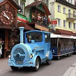 Lejlighed Forest Family Stay, Triberg Turntal