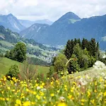Forest Family Stay, Triberg Lejlighed *