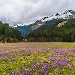Lejlighed Forest Family Stay, Triberg Turntal