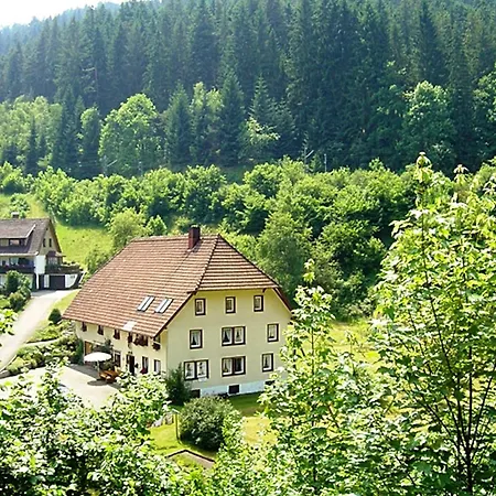 Forest Family Stay, Triberg Turntal