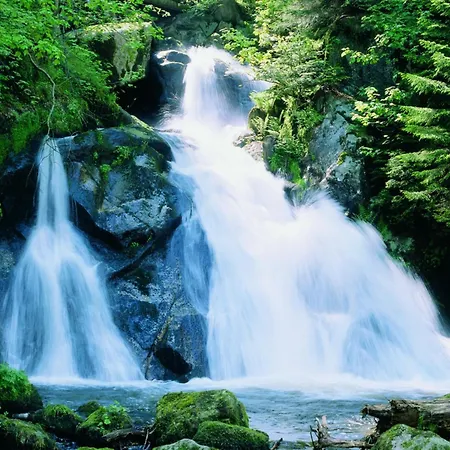 Forest Family Stay, Triberg Appartement Turntal