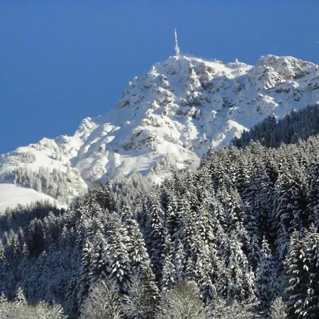 Forest Family Stay, Triberg Appartement Turntal